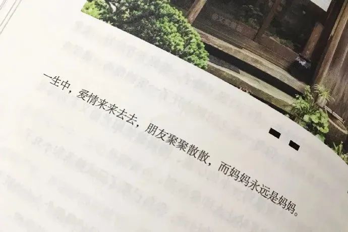 10句母亲节创意文案赏析-传播蛙