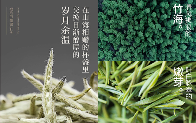 小罐茶的创意文案赏析